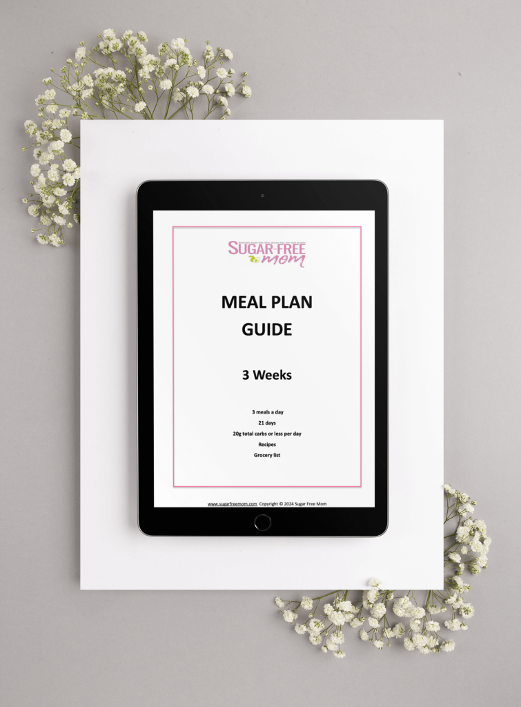 21 Day Meal Plan on Ipad