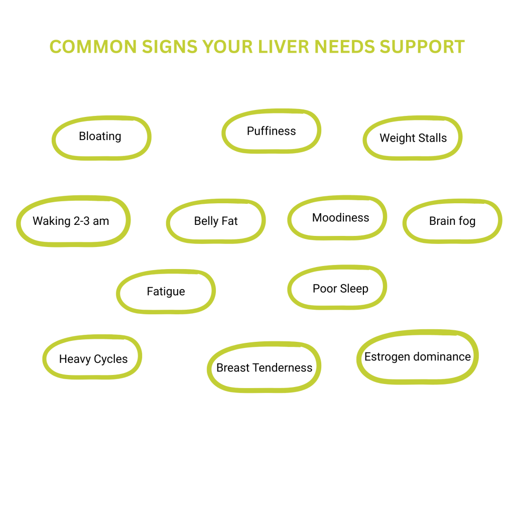 Liver support signs signs-your-liver-needs-support